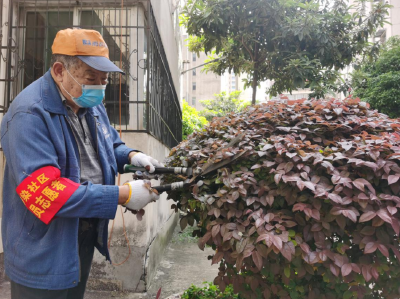 赤壁街道： 退休老厂长在小区做起了“园艺师”