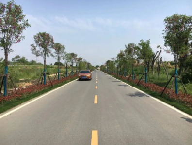 黄州区：“最美农村路”王李线 串起乡村振兴新图景 