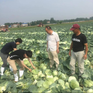 黄州区科经局：科技特派员助力乡村振兴