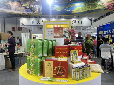 黄州区商务局组织企业参加武汉国际电商博览会