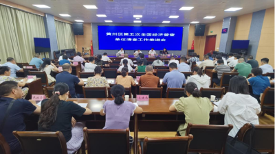 黄州区召开第五次全国经济普查单位清查工作推进会