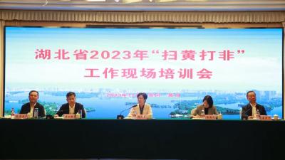 湖北省2023年“扫黄打非”工作现场培训会在黄州区召开