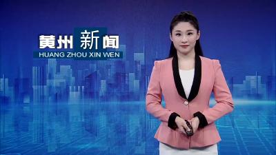 夏志东参加陶店++陈策楼++火车站经济开发区代表团分组审议