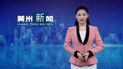 何志春参加禹王代表团分组审议