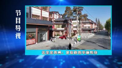 这里是黄州2024年第3期《坡仙路的华丽转身》