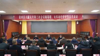 出席黄州区六届人大三次会议的人大代表审议、讨论《政府工作报告》