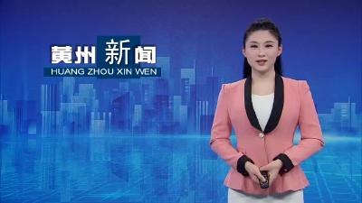 黄州区：医保业务“视频办” 便捷服务更贴心