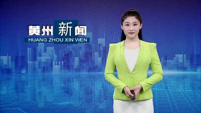 奋楫扬帆正当时—黄州区人大代表谈收获话落实