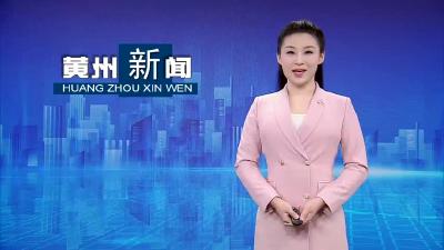 徐艳国参加市六届人大四次会议黄州区代表团审议