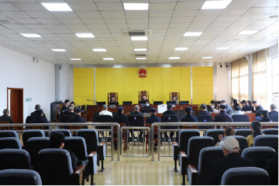 黄州区人民法院公开开庭审理一起盗掘古墓葬案件