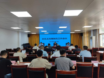 黄州区“抢先抓早、战主汛期”筑牢防汛 “安全堤坝”