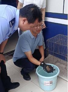 “萌禽”出没 警民接力救助“大眼萌”猫头鹰