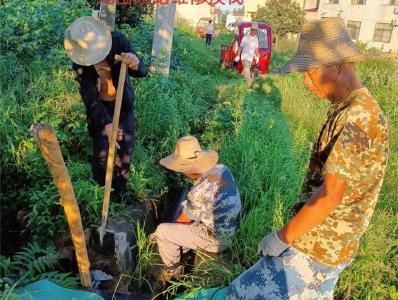 黄州区陶店乡小汊湖村党群合力为庄稼“解渴”