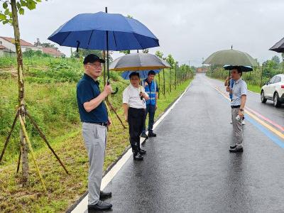 黄冈市林业局一行到黄州区调研中央财政国土绿化试点示范项目