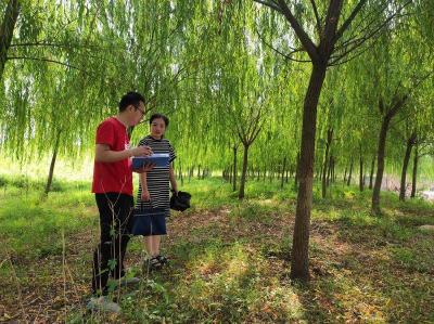 黄州区审计局开展森林植被恢复情况调查