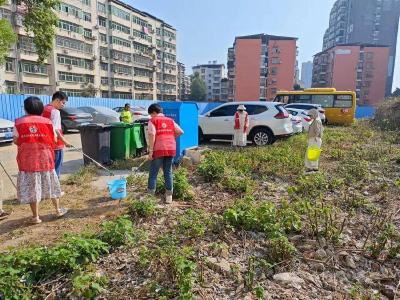 黄州区赤壁街道八一社区开展周末环境卫生大扫除活动