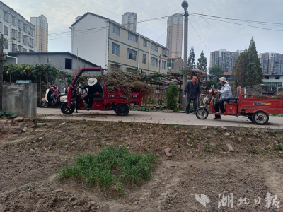 黄州区建新社区多措并举做好秸秆禁烧工作