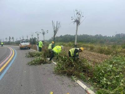 秋季养护“不降温” 路域环境再提升——黄州区掀起秋季农村公路养护热潮