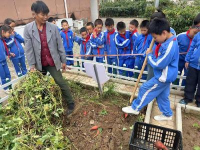 黄冈市八一小学堵城校区开展劳动实践活动