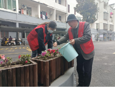 粮食小区“焕新记”