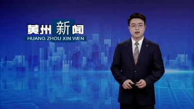 市级非遗保护名录“丁甲企龙”灯会在路口镇举行