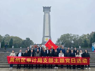 黄州区审计局“三大举措”让主题党日成为党员精神生活的“补给站”