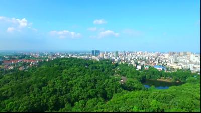 黄州新闻20250412大屏版