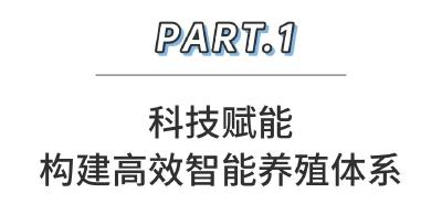 “一头猪”出圈成全国样本——鄂州“养猪天塔”点亮农业新质生产力“灯塔”