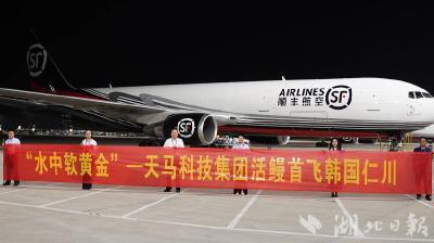 花湖机场首单鲜活水产品试航成功—— 活体鳗鱼首飞韩国仁川，背后有何深意？