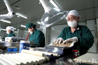 乘风破浪启新篇——蕲春县做优做强中医药大健康产业纪实