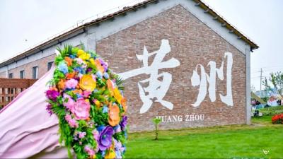 叶路洲棉朵朵：田园拾趣荡漾田野牧歌  