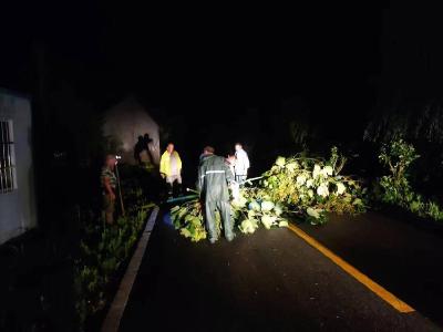 黄州农路人连夜冒雨清障保畅通