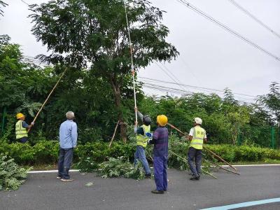 黄州区：公路养护清杂忙 安全“颜值”双提升