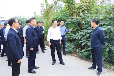 全区城市创建工作现场推进会召开