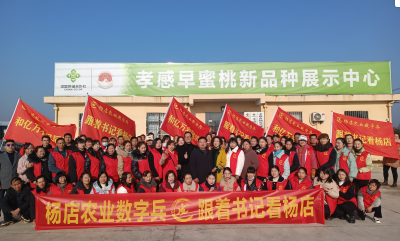 孝南农业数字兵 跟着书记看杨店