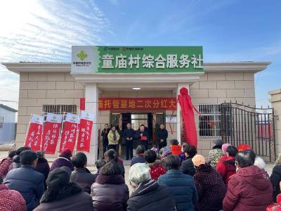 推进地网建设，打造供销供应链为农服务新模式