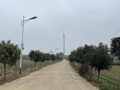 乡贤修路安路灯，点亮乡村振兴之路