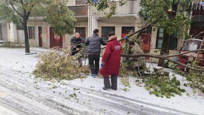 浴雪奋战 以动治冻 三汊镇扫雪除冰在行动