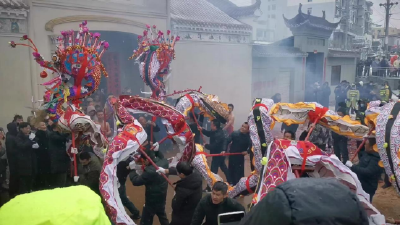 龙年说龙 杨店高龙舞出盛世华风
