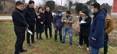 省农科院专家在孝南区开展小麦灾后复产核灾工作