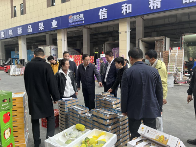致盛集团张润斌董事长一行到孝南考察