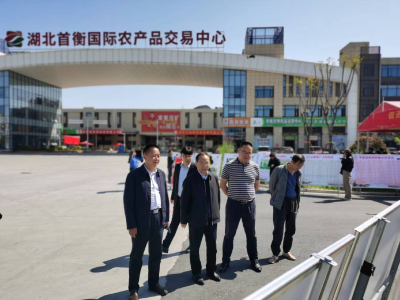 农文旅康养融合，绘就乡村振兴新画卷 ——孝南区杨店镇党建引领推动乡村振兴释放产业新活力