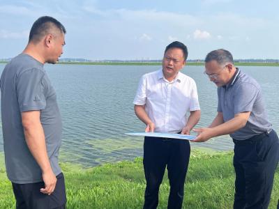 区领导督导检查防汛备汛工作