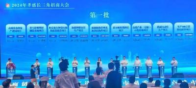 2024孝感市长三角招商大会，三大项目成功签约孝南！
