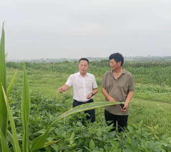 湖北孝南：“传统农业”逐渐向“智慧农业”转型升级