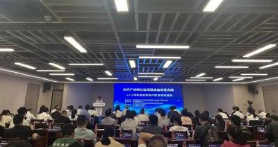 孝南：创新“知产”大保护 打造“营商”好环境