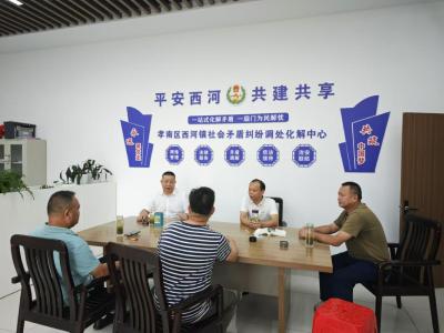 孝南区西河镇：多点发力推动信访工作提质增效