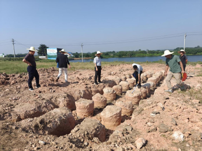 审计利剑护航 华阳河蓄滞洪区西隔堤加固工程接受全面审视
