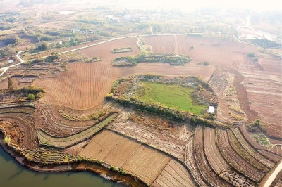 孝南区：撂荒地华丽蜕变——荒芜之地绽放丰收田园之美