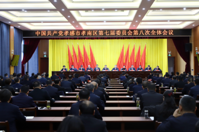 中共孝南区委七届八次全体会议举行